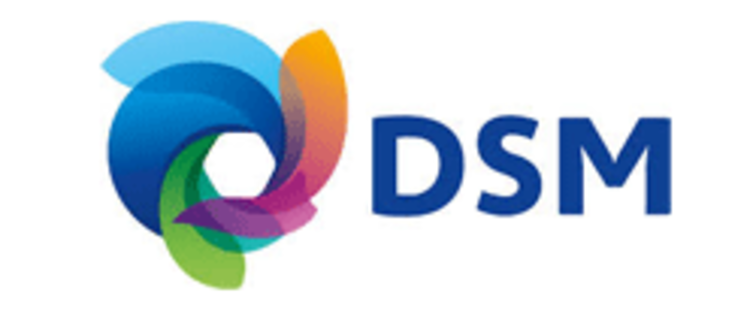 dsm-Copy_cropped